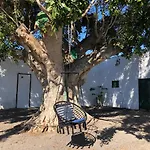 Llanitos * Guia de Isora (Tenerife)