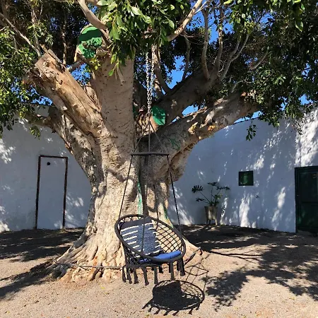 Llanitos * Guía de Isora