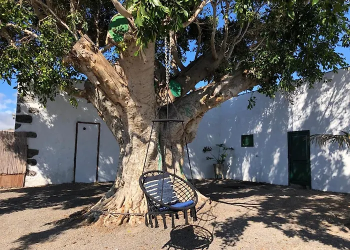 Llanitos * Guía de Isora